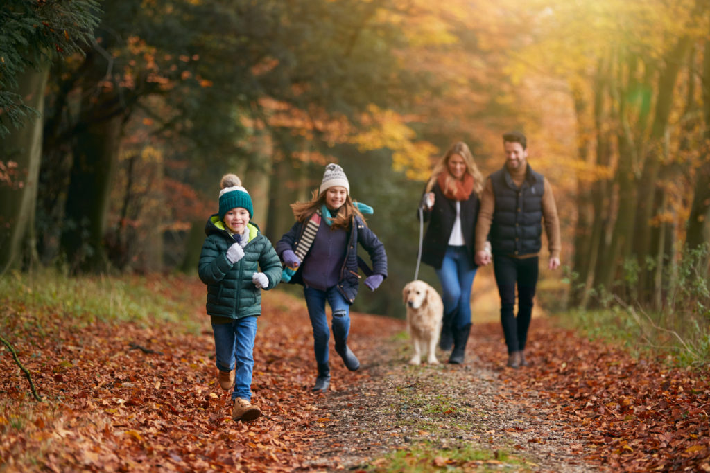 Keep kids calm at Christmas with an outdoor walk